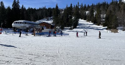 &Ccedil;a sent non pas le sapin, mais le printemps..,