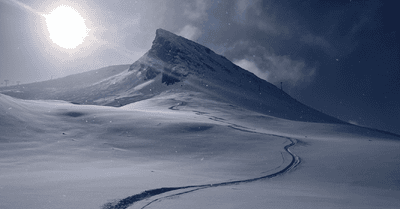  🦉 un chtit peu de Peuff😜