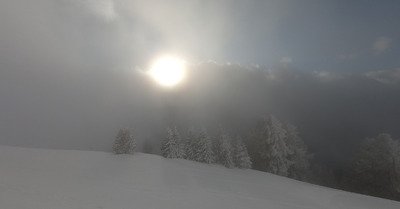 Livraison de neige timide 