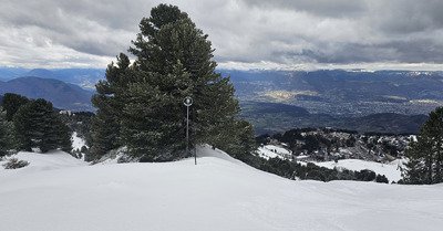 Chamrousse : plong&eacute;e en neige fra&icirc;che !