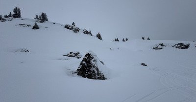 Matin&eacute;e biscuit 🍪 
