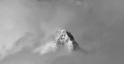 Tout le monde en veut ❄️☀️