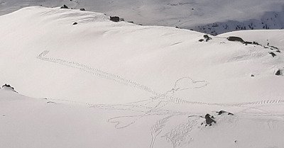 De l'extra bon ou du congel&eacute; !