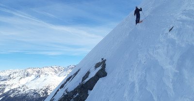 Loriaz sauvage! (Bonus)