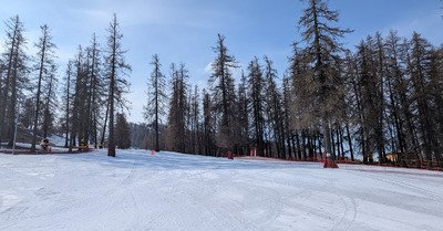 Session carving printani&egrave;re !