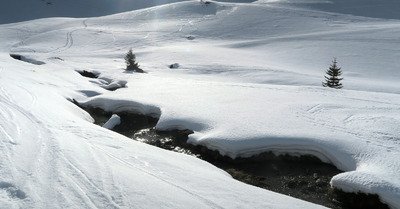 Le bureau du directeur