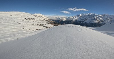 Heureusement qu&rsquo;il en reste beaucoup !  ❄️ ❄️ 