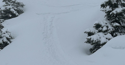 Snowing day et brouillard à la Balme 