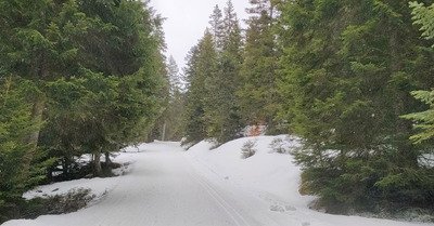Bonne glisse et fausses traces en skating &agrave; l'Arselle 