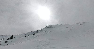 Bonne poudre, cache cache avec le brouillard et neige