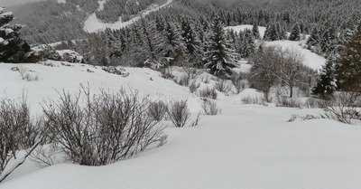 Tremp&eacute;-guen&eacute; aux 7 Laux