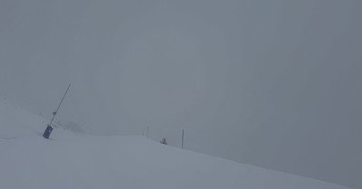 Le Revival&hellip; du blanc !