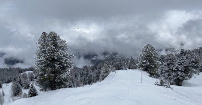 Poudreuse et brouillard sur Les Arcs 