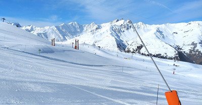 Le printemps avec 5cm d'hiver