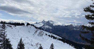 Oasis, Oasis&hellip; le printemps est l&agrave; !!