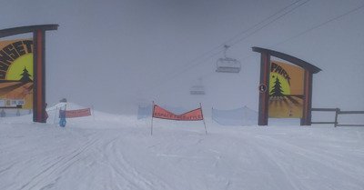 perdue dans la brume