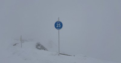 seul ou presque 👍🏻