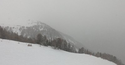 Livraison de neige d'avril ❄️