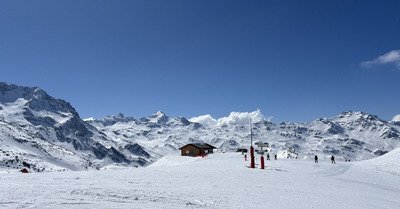 le printemps 🌸🌷🌱