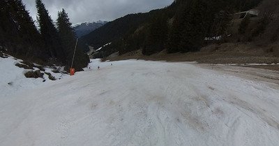 Les coins &agrave; champignons se font rares