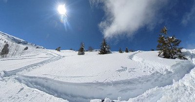 Janvril express mais magistral