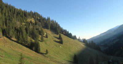 Conditions printani&egrave;res exemplaires