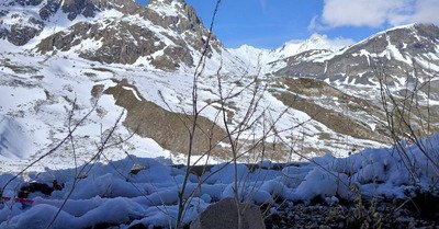Encore un peu de rab, s'il vous pla&icirc;t.