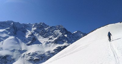 Des Aiguillettes &agrave; point