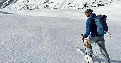 Chartreuse Wonderland