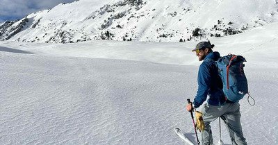 Chartreuse Wonderland