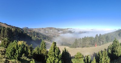 Prospection automnale 