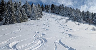 Sortie pas M&ocirc;le