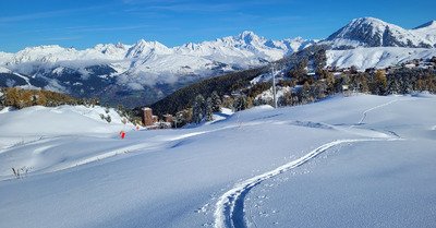 Croute et poudre pourquoi choisir&nbsp;?