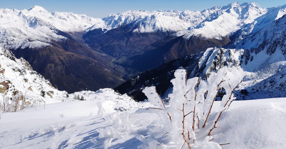 Des opportunistes au nez creux... 
