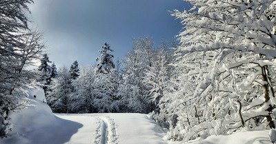Premier D-Day! 40 cm &agrave; 1500 m :)