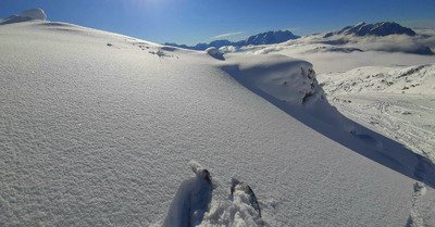Pur bonheur dans la poudre !