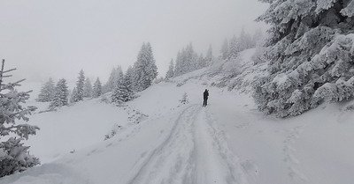 Powder hunter ... la saison est lanc&eacute;e