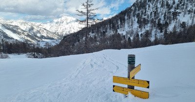 Ski de printemps sous le sunlight des tropiques