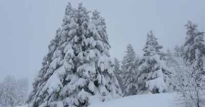 Y&rsquo;en a mais elle est un peu lourde ☃️