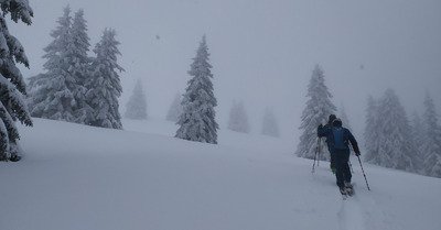 on peut vraiment pas dire qu'il y a trop?