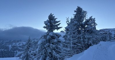 Premier arriv&eacute;, premier servi ☃️