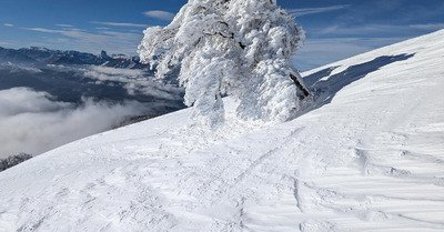 Peyrouse fin Novembre