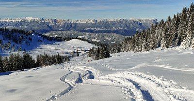 Gavage sur l'A7 🤩