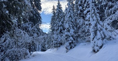 Bonnes conditions sur Chanrossa 