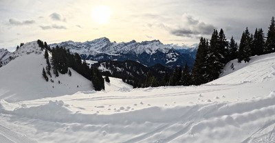 Bien au dessus des attentes 