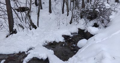 Bracage, et impatience