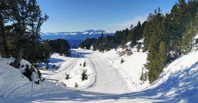 Top carving au soleil ☀️