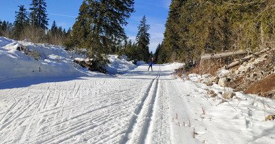 Le ski de fond r&eacute;siste bien