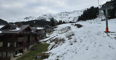 Neige grise