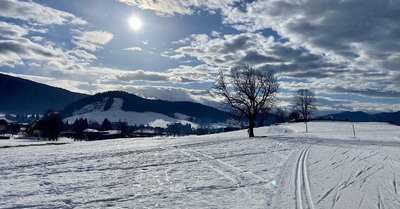 Neige parfaite pour du classique 